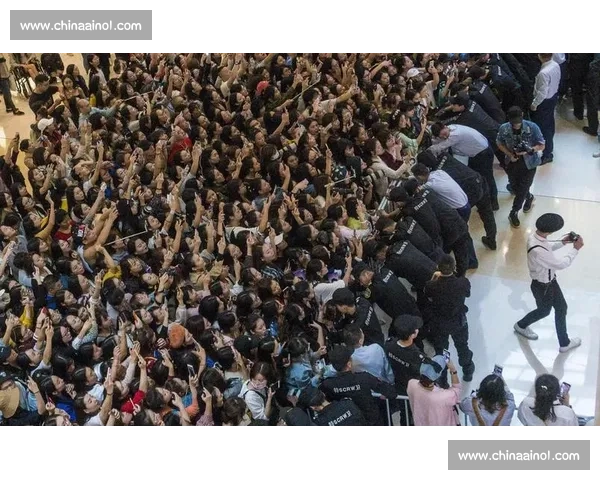 粉丝文化兴起对青年群体身份认同与社会行为影响研究 粉丝文化兴起对青年群体身份认同与社会行为影响研究